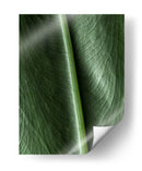 Piel natural - Barán | Cuadro decorativo de Canvas Lab