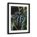 Piel vegetal - Barán | Cuadro decorativo de Canvas Lab