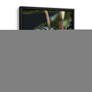 Piel vegetal - Barán | Cuadro decorativo de Canvas Lab