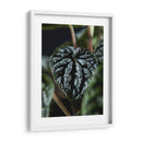 Piel vegetal - Barán | Cuadro decorativo de Canvas Lab