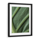 Piel verde - Barán | Cuadro decorativo de Canvas Lab