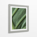 Piel verde - Barán | Cuadro decorativo de Canvas Lab
