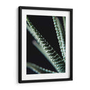 Planta de cerca - Barán | Cuadro decorativo de Canvas Lab