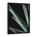 Planta de cerca - Barán | Cuadro decorativo de Canvas Lab