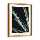 Planta de cerca - Barán | Cuadro decorativo de Canvas Lab