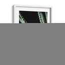 Planta de cerca - Barán | Cuadro decorativo de Canvas Lab