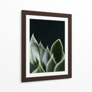 Planta en muro negro - Barán | Cuadro decorativo de Canvas Lab