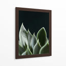 Planta en muro negro - Barán | Cuadro decorativo de Canvas Lab
