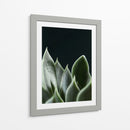 Planta en muro negro - Barán | Cuadro decorativo de Canvas Lab