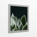 Planta en muro negro - Barán | Cuadro decorativo de Canvas Lab