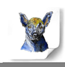 Xolotl - Mich0 Herrera | Cuadro decorativo de Canvas Lab