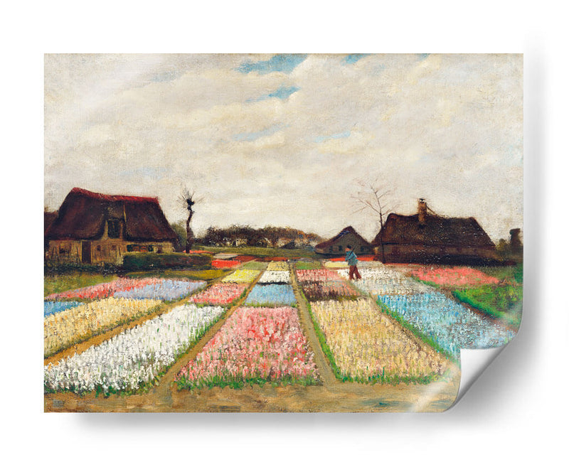 Macizos de flores en Holanda - Vincent Van Gogh | Cuadro decorativo de Canvas Lab