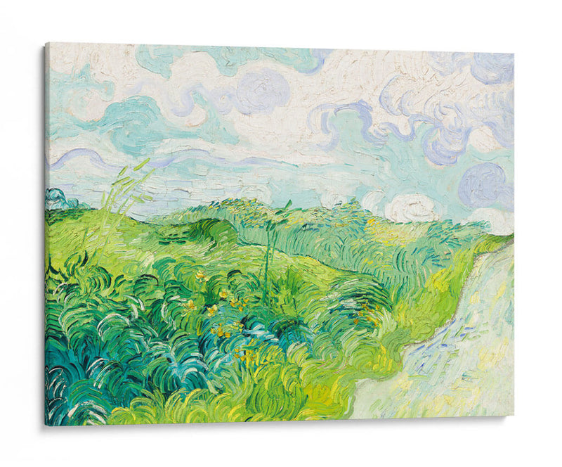 Campos de trigo verde, Auvers - Vincent Van Gogh | Cuadro decorativo de Canvas Lab