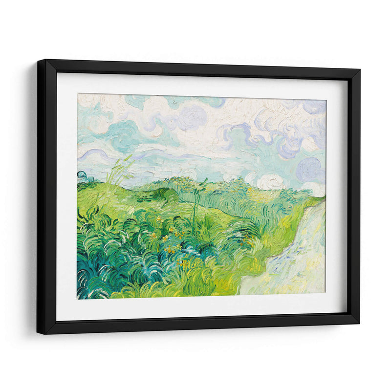 Campos de trigo verde, Auvers - Vincent Van Gogh | Cuadro decorativo de Canvas Lab