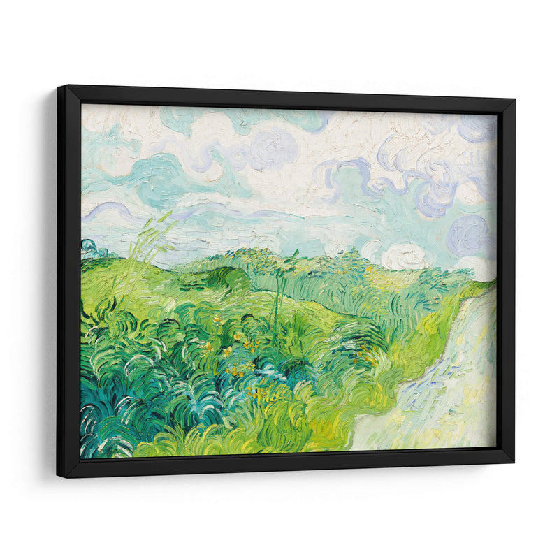 Campos de trigo verde, Auvers - Vincent Van Gogh | Cuadro decorativo de Canvas Lab