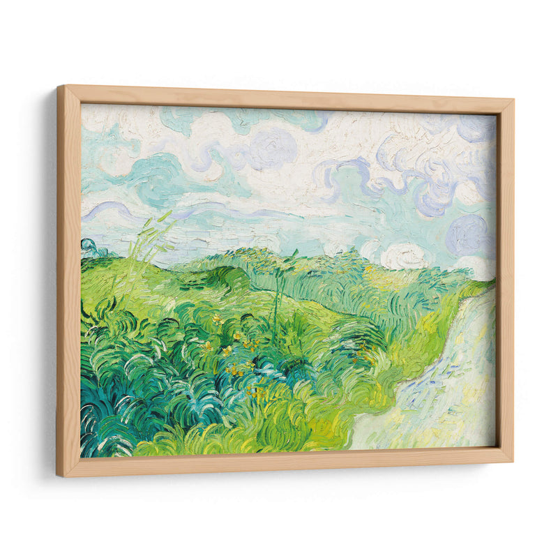 Campos de trigo verde, Auvers - Vincent Van Gogh | Cuadro decorativo de Canvas Lab