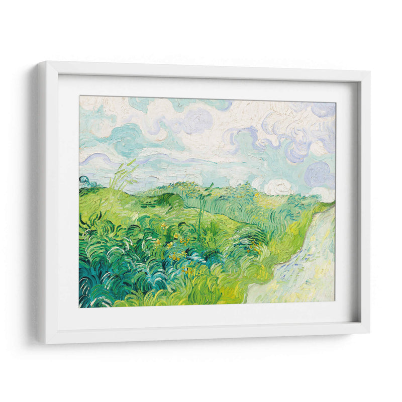 Campos de trigo verde, Auvers - Vincent Van Gogh | Cuadro decorativo de Canvas Lab