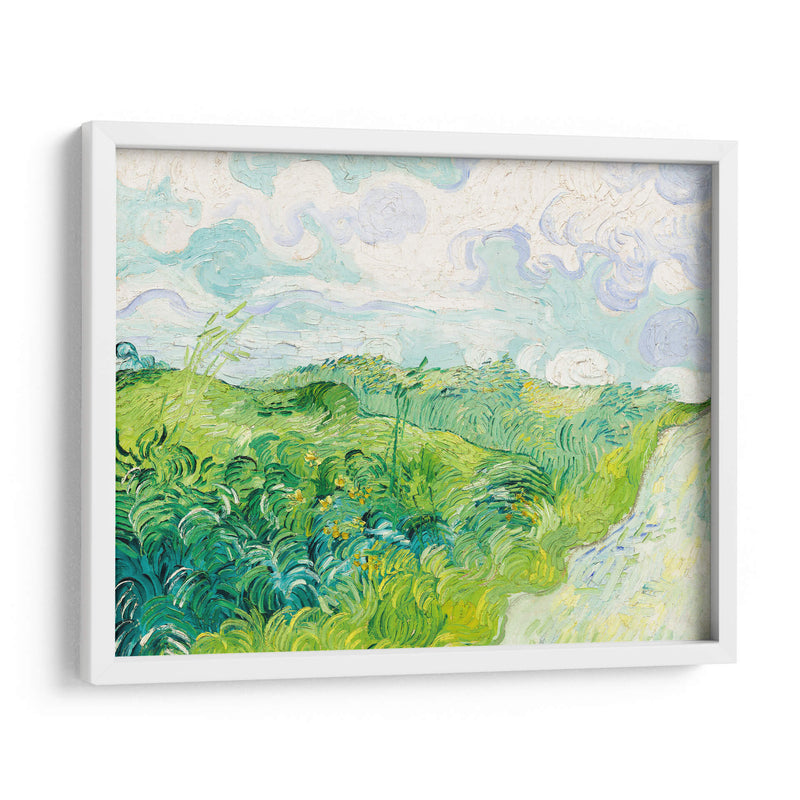 Campos de trigo verde, Auvers - Vincent Van Gogh | Cuadro decorativo de Canvas Lab