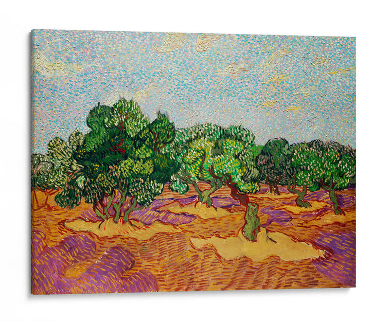 Olivos - Vincent Van Gogh | Cuadro decorativo de Canvas Lab