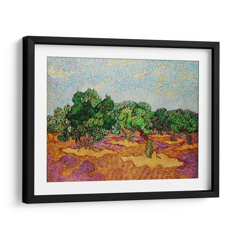 Olivos - Vincent Van Gogh | Cuadro decorativo de Canvas Lab