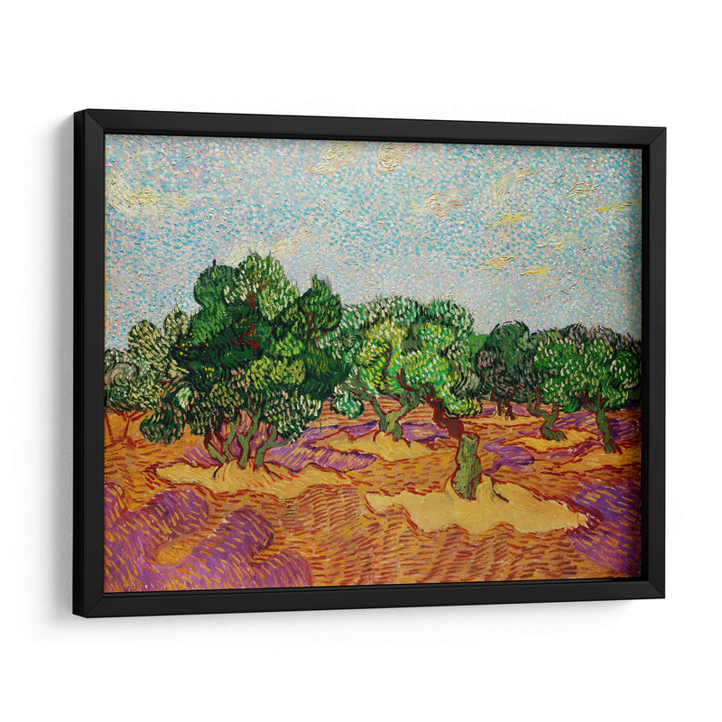 Olivos - Vincent Van Gogh | Cuadro decorativo de Canvas Lab