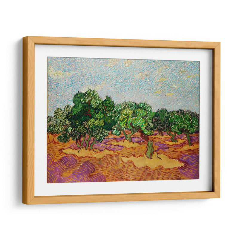 Olivos - Vincent Van Gogh | Cuadro decorativo de Canvas Lab