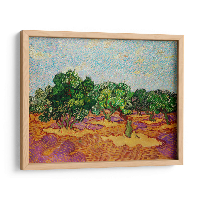 Olivos - Vincent Van Gogh | Cuadro decorativo de Canvas Lab