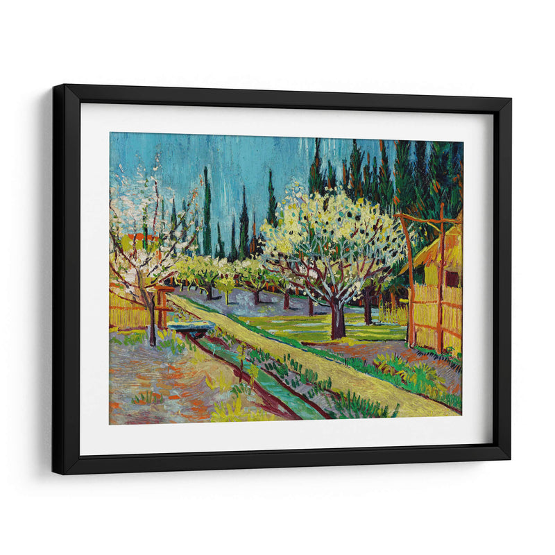 Orchard Bordered by Cypresses - Vincent Van Gogh | Cuadro decorativo de Canvas Lab