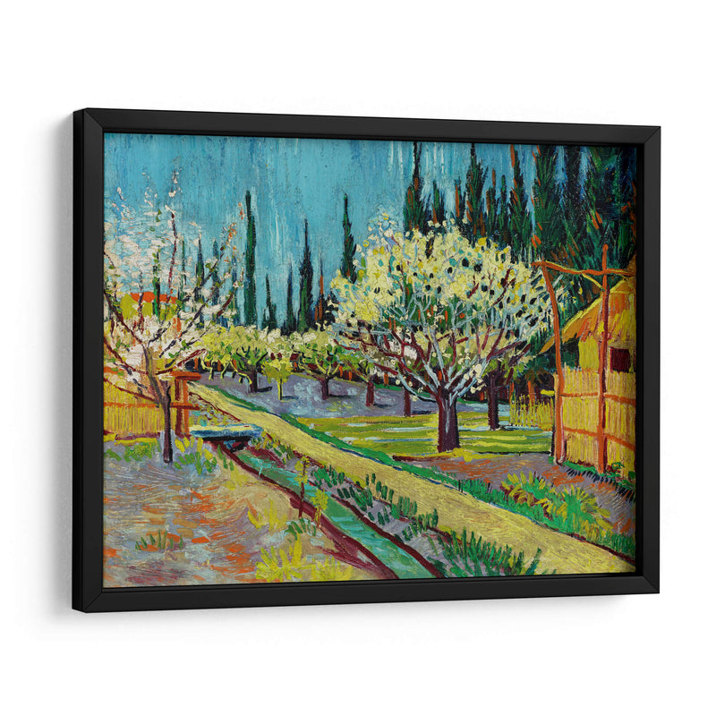 Orchard Bordered by Cypresses - Vincent Van Gogh | Cuadro decorativo de Canvas Lab