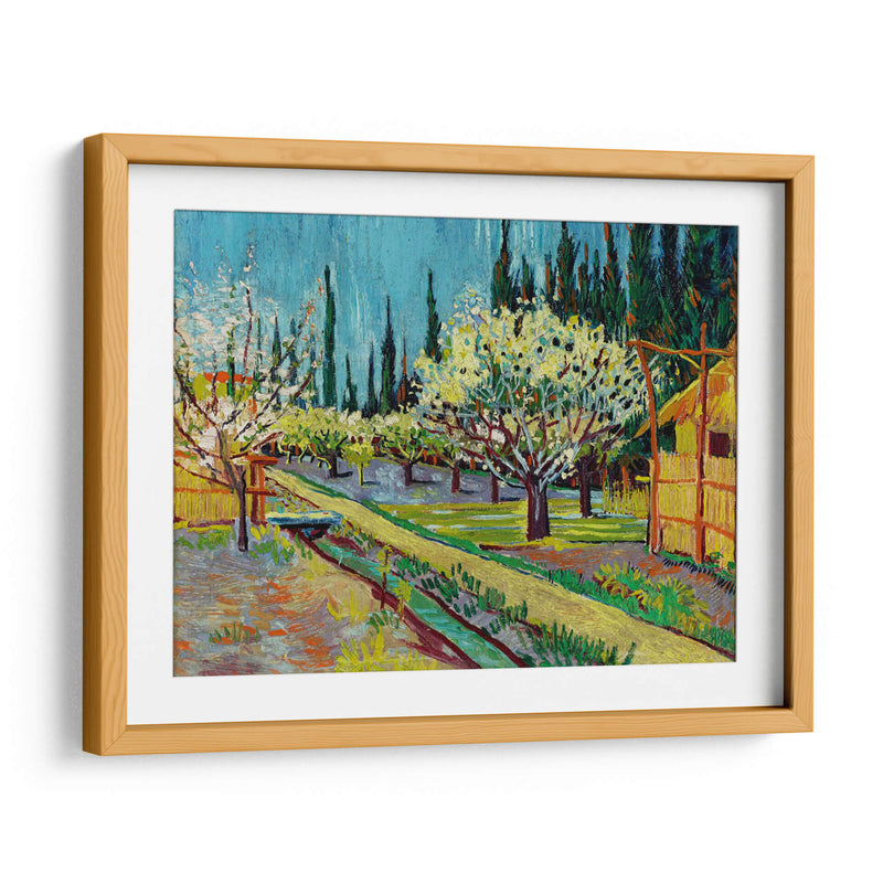 Orchard Bordered by Cypresses - Vincent Van Gogh | Cuadro decorativo de Canvas Lab