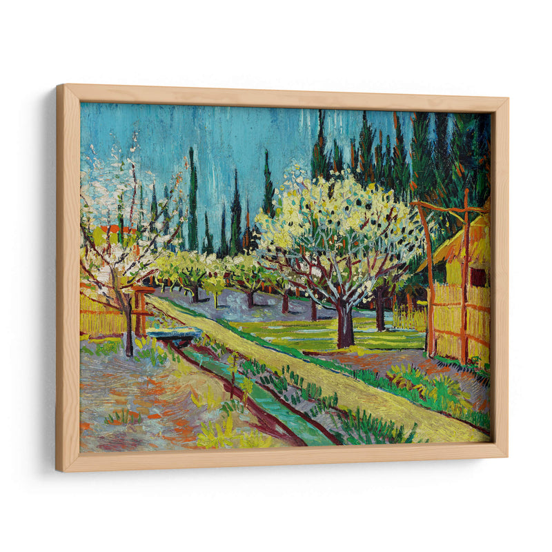 Orchard Bordered by Cypresses - Vincent Van Gogh | Cuadro decorativo de Canvas Lab