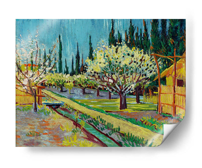 Orchard Bordered by Cypresses - Vincent Van Gogh | Cuadro decorativo de Canvas Lab