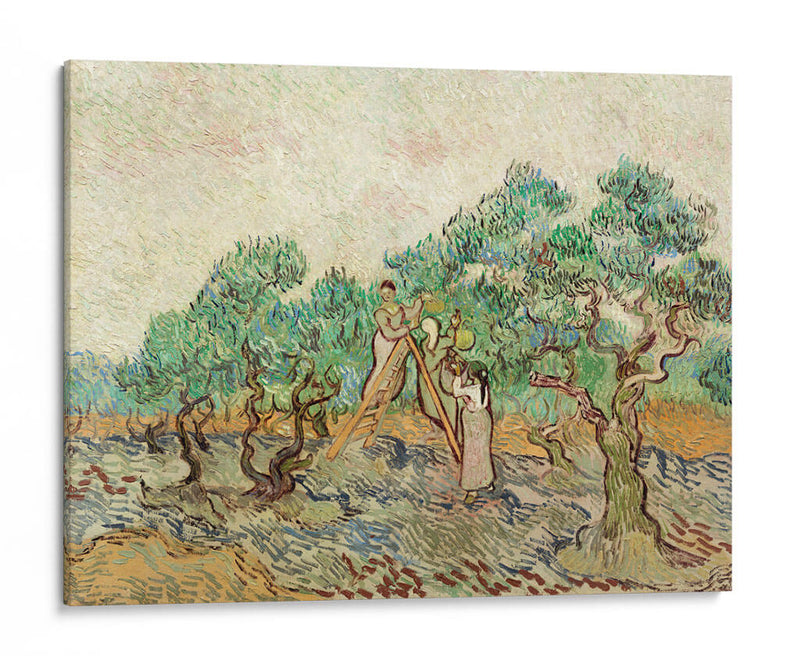 El huerto de olivos - Vincent Van Gogh | Cuadro decorativo de Canvas Lab