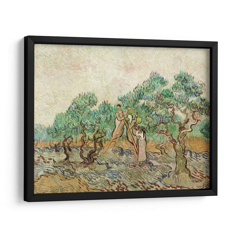 El huerto de olivos - Vincent Van Gogh | Cuadro decorativo de Canvas Lab