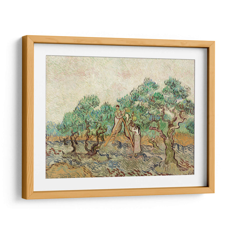 El huerto de olivos - Vincent Van Gogh | Cuadro decorativo de Canvas Lab