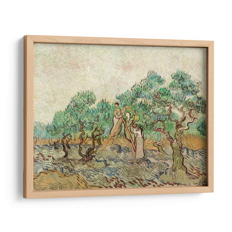 El huerto de olivos - Vincent Van Gogh | Cuadro decorativo de Canvas Lab