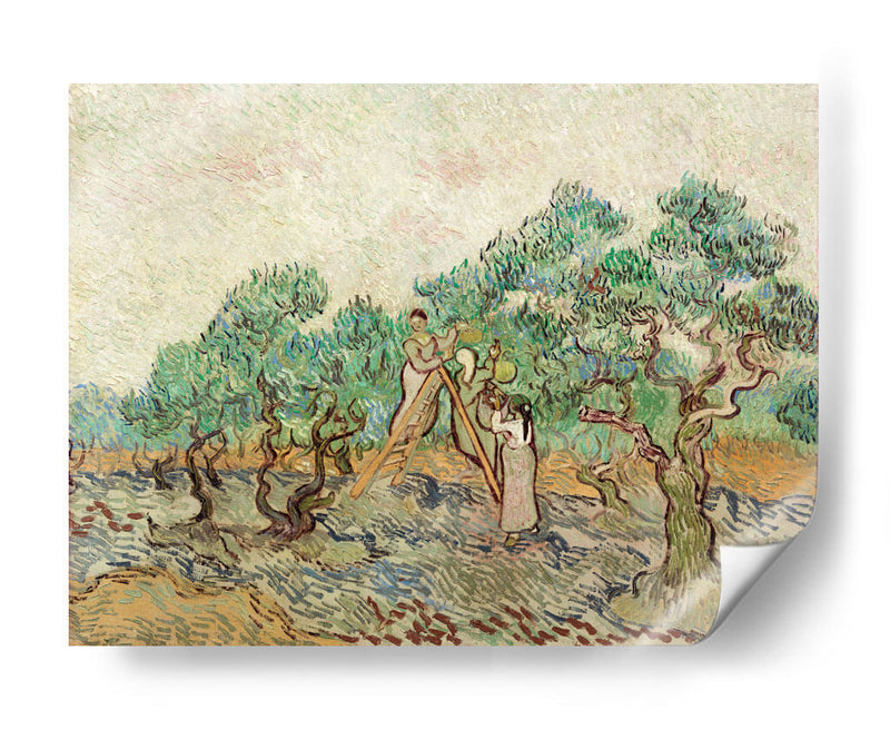 El huerto de olivos - Vincent Van Gogh | Cuadro decorativo de Canvas Lab