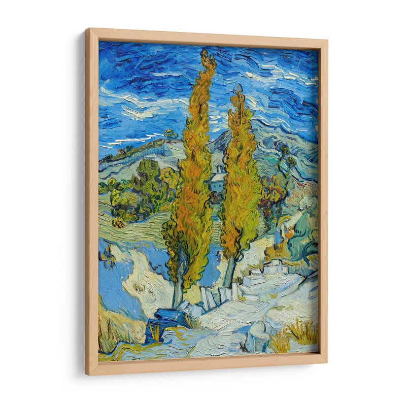 Los álamos en Saint-Rémy - Vincent Van Gogh | Cuadro decorativo de Canvas Lab