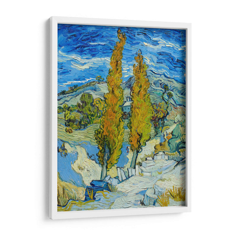 Los álamos en Saint-Rémy - Vincent Van Gogh | Cuadro decorativo de Canvas Lab