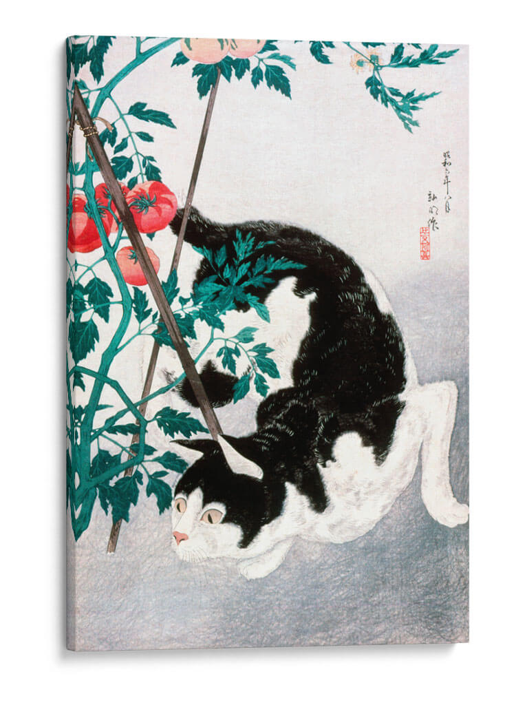Gato con planta de tomate - Hiroaki Takahashi | Cuadro decorativo de Canvas Lab
