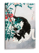 Gato con planta de tomate - Hiroaki Takahashi | Cuadro decorativo de Canvas Lab