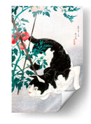 Gato con planta de tomate - Hiroaki Takahashi | Cuadro decorativo de Canvas Lab