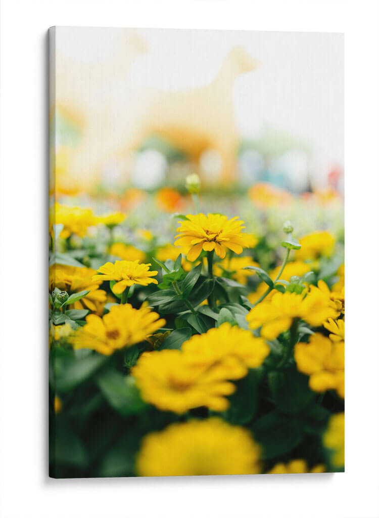 Enfoque amarillo | Cuadro decorativo de Canvas Lab