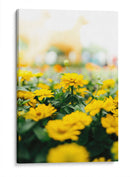Enfoque amarillo | Cuadro decorativo de Canvas Lab