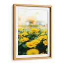 Enfoque amarillo | Cuadro decorativo de Canvas Lab