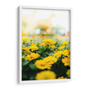 Enfoque amarillo | Cuadro decorativo de Canvas Lab