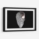 Escultura Orígen del Maíz - David Ávila | Cuadro decorativo de Canvas Lab