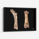 Hueso Saludo entre Razas Humana-Alienígena - David Ávila | Cuadro decorativo de Canvas Lab