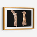 Hueso Saludo entre Razas Humana-Alienígena - David Ávila | Cuadro decorativo de Canvas Lab