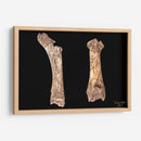 Hueso Saludo entre Razas Humana-Alienígena - David Ávila | Cuadro decorativo de Canvas Lab